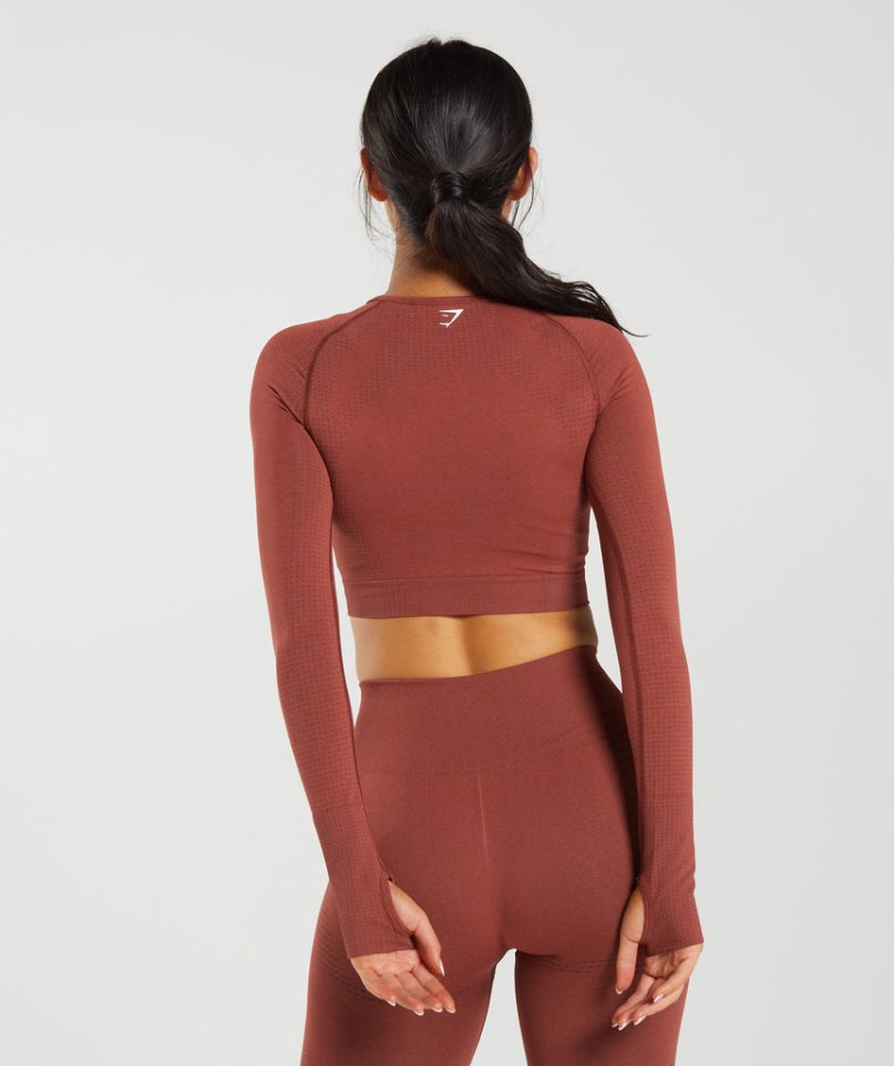 Women's Gymshark Vital Seamless 2.0 Cropped Tops Brown | NZ 1DJXGR